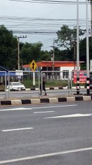 Man Stops Traffic With Odd Poses