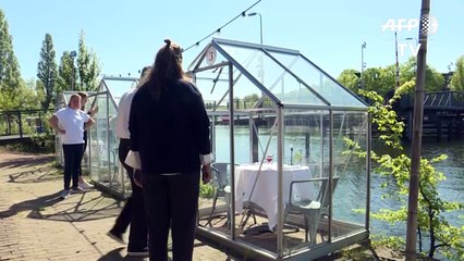 Coronavirus: A Amsterdam, des petites serres séparées pour pouvoir manger au restaurant