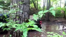 Mãe Natureza versus cara burro em um Ford Raptor.