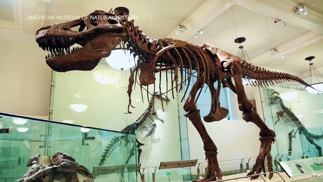 Take a Virtual Museum Tour Today