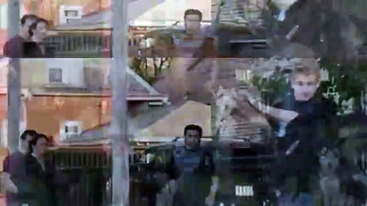 Dog Obedience Training At Chicago Canine Academy