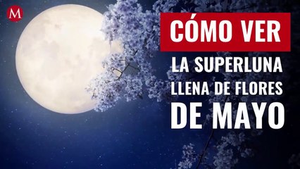 Cómo ver la Superluna llena de flores de mayo, la última del año