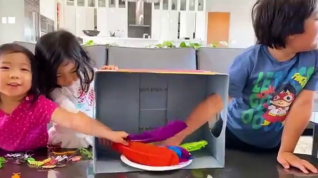 What's in the box Challenge with Ryan Emma and Kate!!!