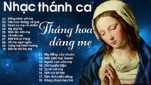 Thánh Ca Dâng Mẹ Maria - Tuyệt Đỉnh Tháng Ca Tháng Hoa Dâng Mẹ Hay Nhất Rung Động Triệu Trái Tim