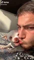 Best Funny Videos 2020 ● People doing stupid things #1