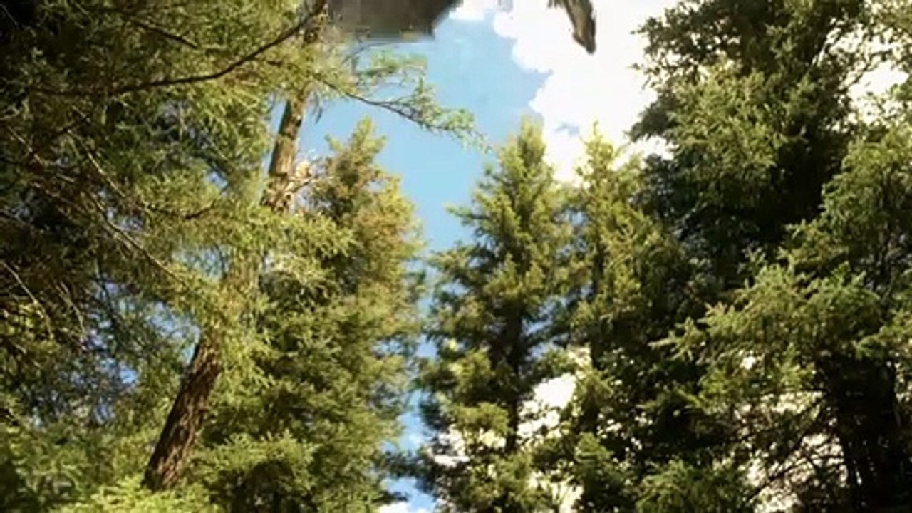 Dragon Soldiers Film