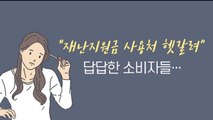 [앵커리포트] 각종 지원금 사용처 '갸우뚱'...한눈에 정리하면? / YTN