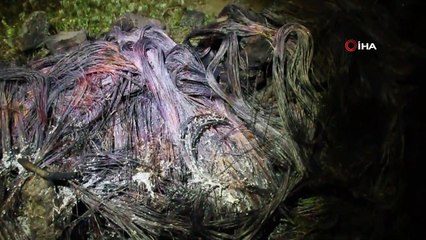 Kablo hırsızı yaklaşık 300 kilo kabloyu yakarken suçüstü yakalandı
