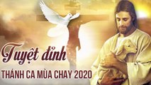 Nhạc Thánh Ca Mùa Chay Hay Nhất 2020 - Thánh Ca Mùa Chay Tuyển Chọn Nghe Cảm Động Lòng Người