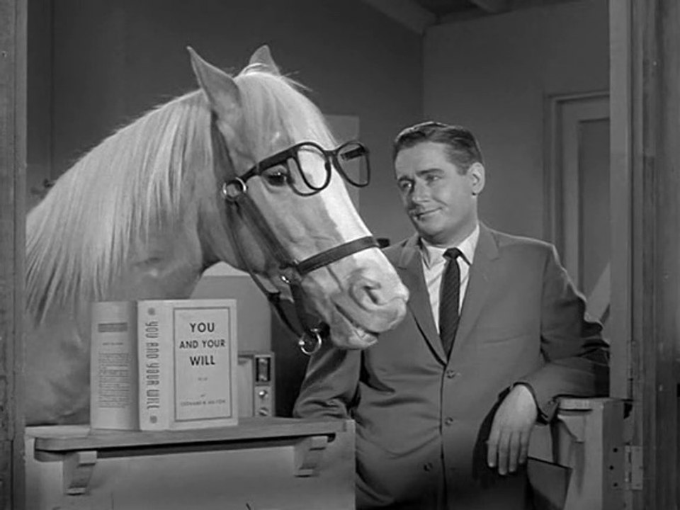 Mr. Ed 040. Wilbur macht sein Testament video Dailymotion