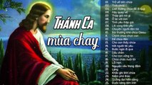 Nhạc Thánh Ca Mùa Chay 2020 - Tuyệt Đỉnh Thánh Ca Mùa Chay Đi Cùng Năm Tháng - Nghe Mãi Không Chán