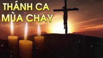 Nhạc Thánh Ca Mùa Chay 2020 - Mùa Ăn Năn Sám Hối - Chọn Lọc Nhạc Thánh Ca Mùa Chay Hay Nhất Hiện Nay