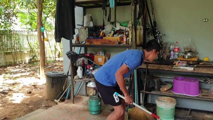Large snake caught sheltering from  the rain in Thai family's kitchen pots and pans