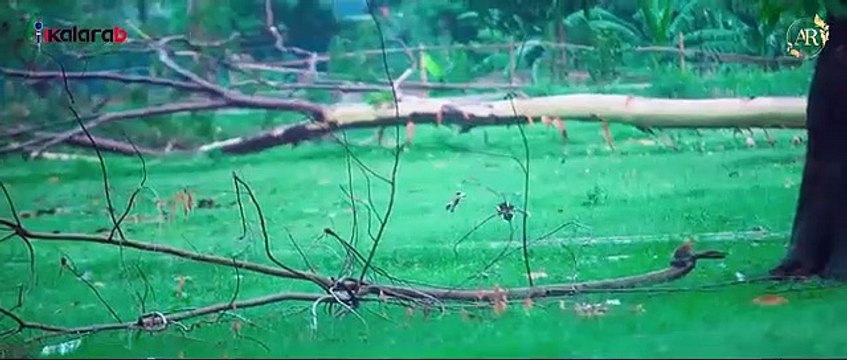 প্রার্থনা আবু রায়হান গজল | prarthona abu rayhan gojol | kalarab new song by nur tune.