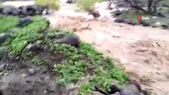 Varto'da etkili olan yağmur sele neden oldu, tarım arazileri sular altında kaldı