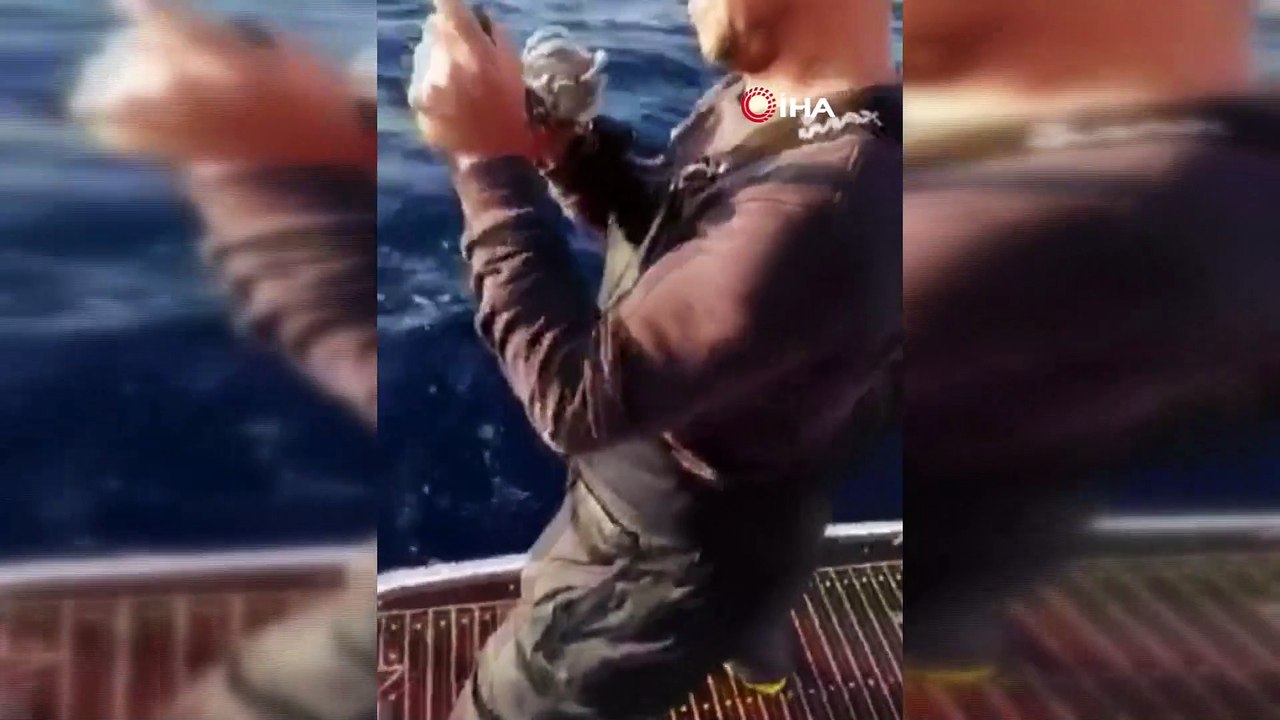 Amatör balıkçısının oltasına dev trança takıldı Dailymotion Video