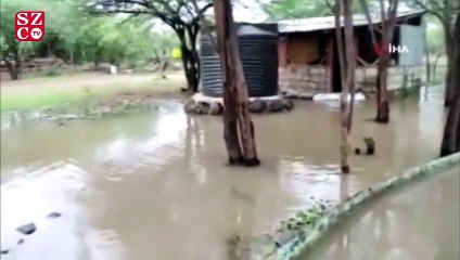 Kenya'da sel felaketi: 194 ölü