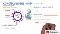 COVID-19 (Novel Coronavirus) *WHO Update News*|| WHO News || Coronavirus update ||