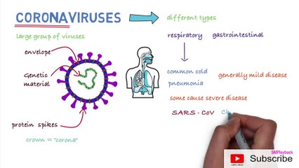 COVID-19 (Novel Coronavirus) *WHO Update News*|| WHO News || Coronavirus update ||