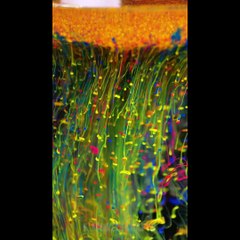 18 Fun and Amazing Water Tricks for Kids 💧