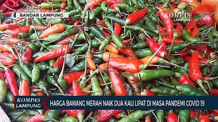 Harga Bawang Merah Naik 2 Kali Lipat di Masa Pandemi Covid-19