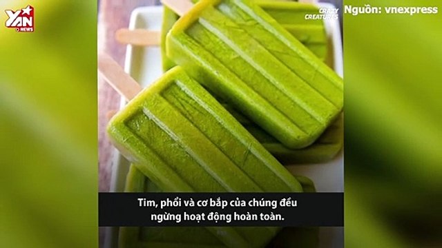 Những động vật có khả năng hồi sinh sau khi đã chết lâm sàng