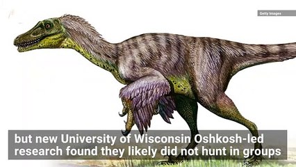 Research Indicates Raptors Don't Hunt in Packs, Proving ‘Jurassic Park’ Wrong