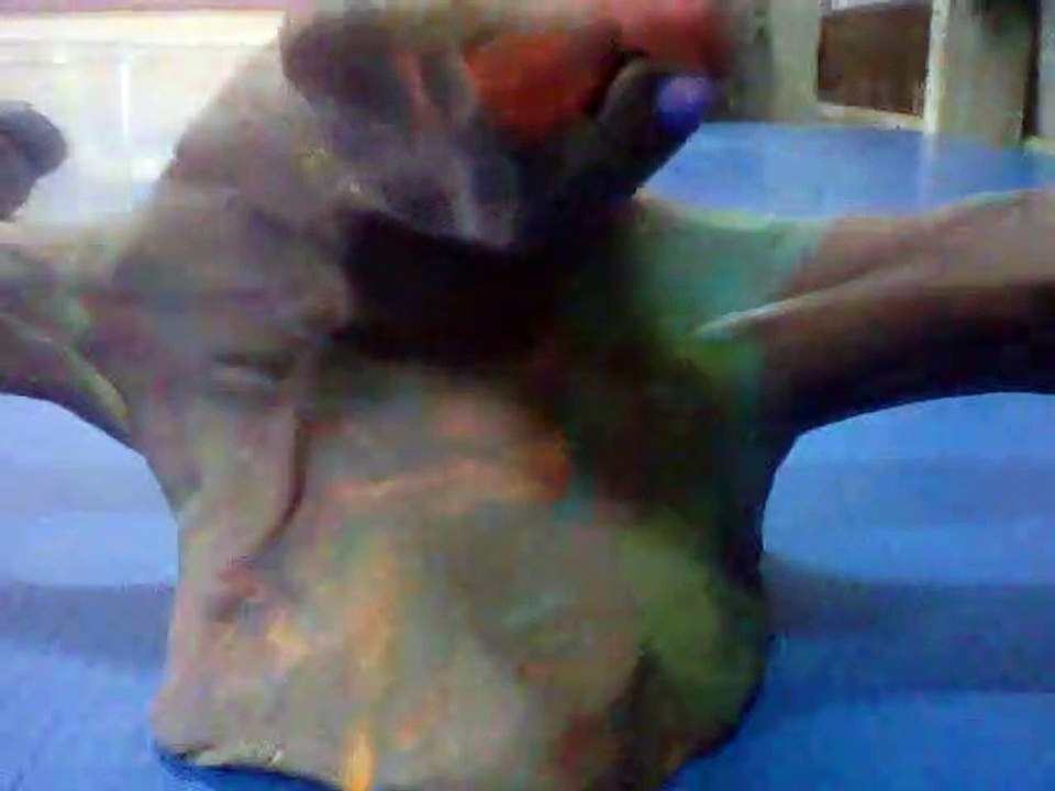 Project Claymation Alien-Task Phobia Type-R Transformation and Morphing Conceptual Build 07