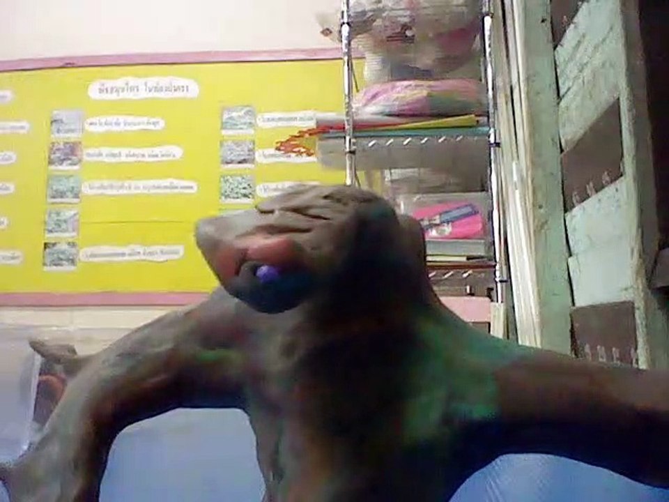 Project Claymation Alien-Task Phobia Type-R Transformation and Morphing Conceptual Build 12