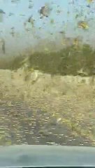 Tiddy Dil huge wave attack in UAE and will enter in Balochistan