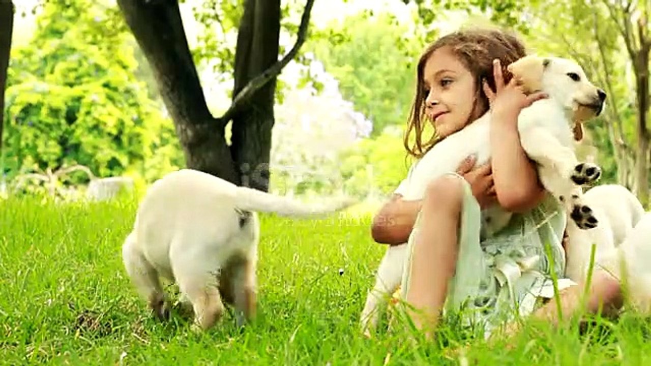 Pets loving