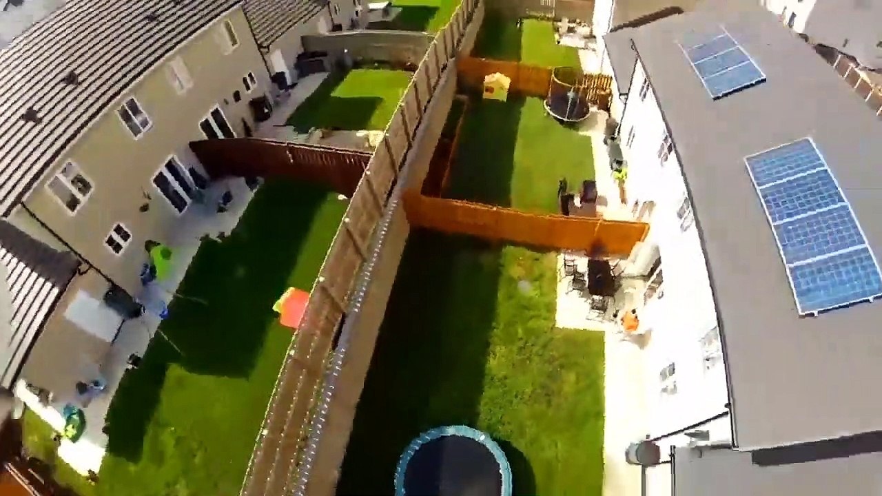 Drone Vs Animals Reaction