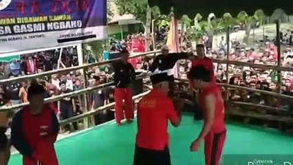 PSHT IKUT PENCAK DOR