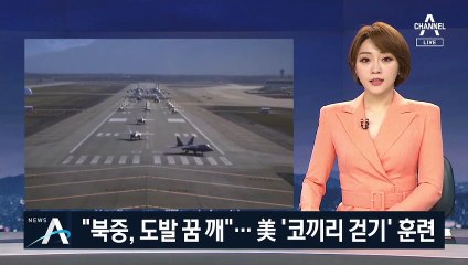 美, 작전명 ‘코끼리 걷기’ 훈련…북·중 향해 경고장