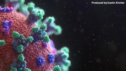 COVID-19 Survivors Won’t Be Allowed to Join U.S. Military