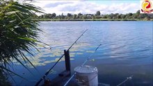 AMAZING SEA FISHING-BIG SEA FISH -TUNA FISH