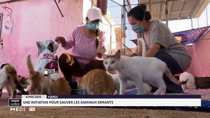 Images du Monde - 07/05/2020