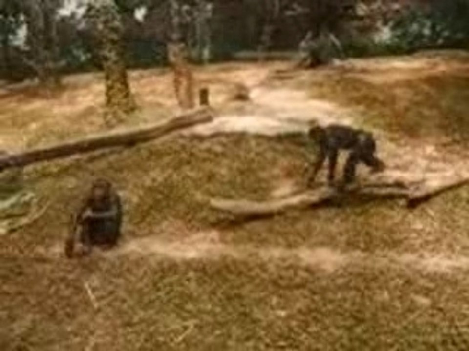Zoo