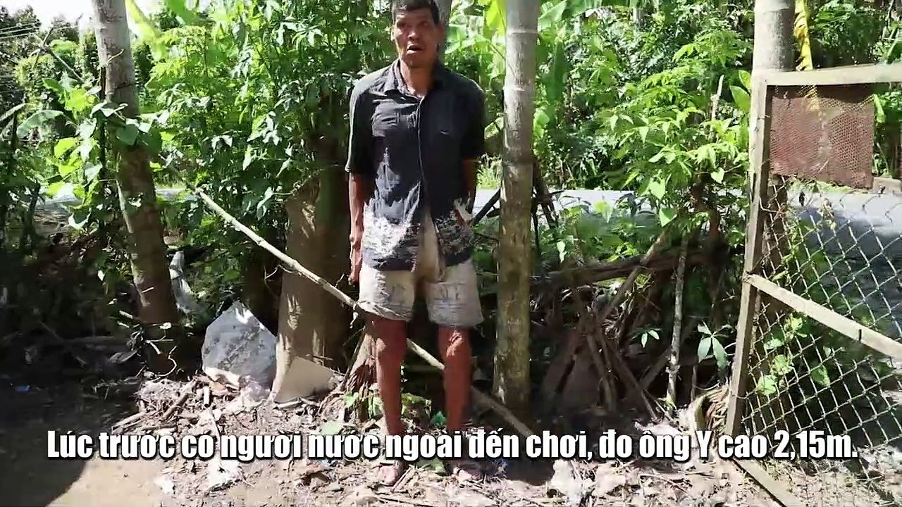 Cuộc sống khó khăn của người khổng lồ miền Tây