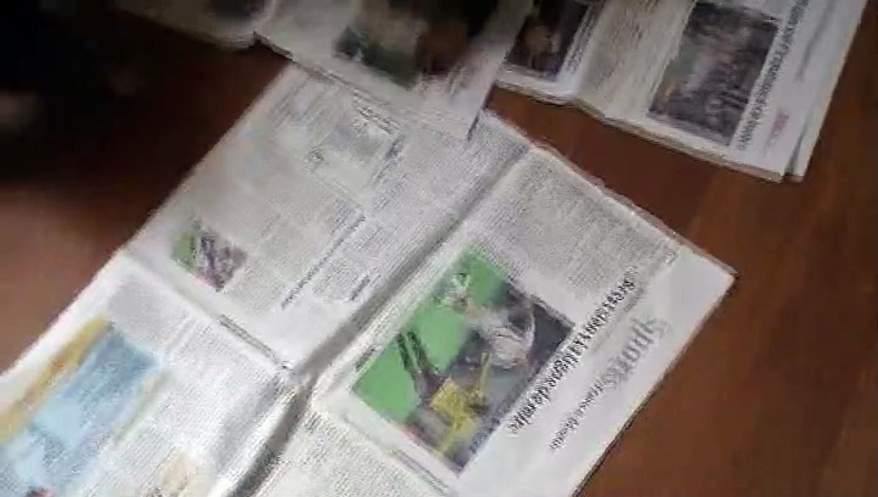 Les chiots du bon limier ont 30 jours