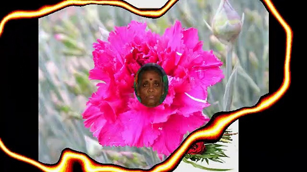 Em Vaalkgaiyin Thaththuvam » Tamil Eelam Yaal. Nallur B-U.Bala » 87280 Limoges, France
