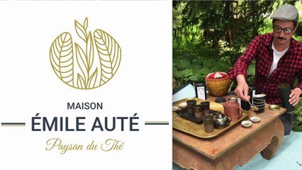 Du thé en circuit-court, maintenant c'est possible! (Confi'tilt #34)