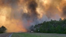 Florida Wild Fires