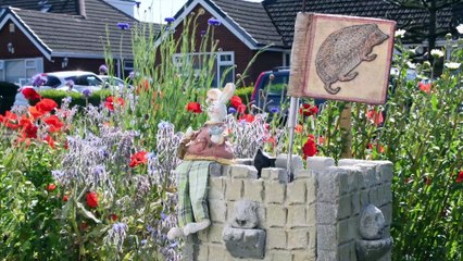 Village for hedgehogs created in Warton garden