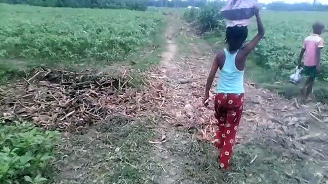 my village