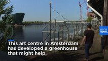 Coronavirus: Amsterdam art centre uses greenhouses to offer outdoor eating amid COVID-19 pandemic