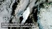 Earth’s Largest Iceberg Just Plopped a Smaller Berg Into the Ocean
