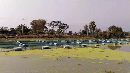 Feni river, Sonagazi, Feni || ফেনী নদী,সোনাগাজী,ফেনী