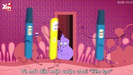 Cách thức hoạt động của que thử thai