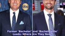 Yikes! Chris Harrison Denies Peter Kraus Was Going to Be the Bachelor